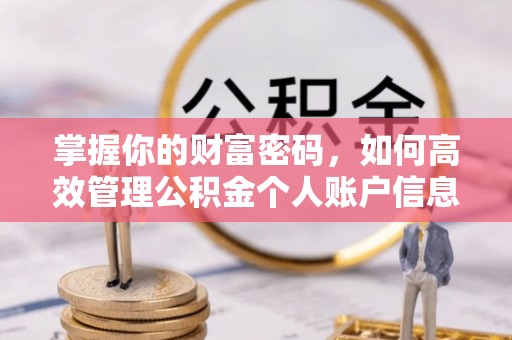 柳江掌握你的财富密码，如何高效管理公积金个人账户信息