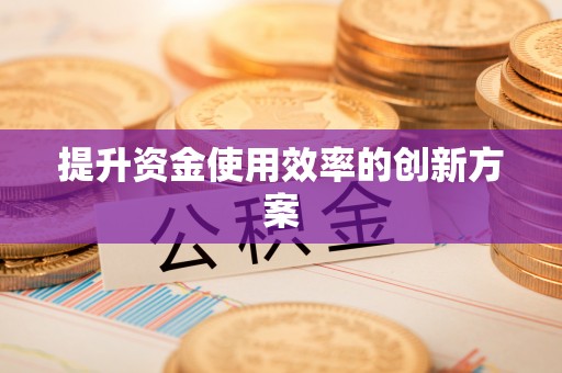 柳江提升资金使用效率的创新方案