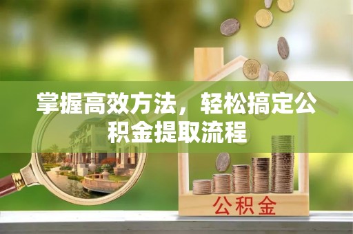 柳江掌握高效方法，轻松搞定公积金提取流程