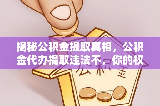 柳江揭秘公积金提取真相，公积金代办提取违法不，你的权益如何保障？