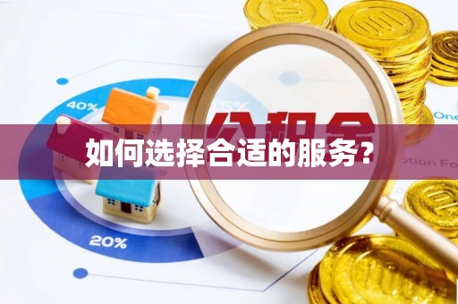 柳江如何选择合适的服务？