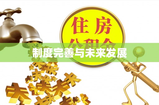 柳江制度完善与未来发展