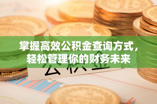 柳江掌握高效公积金查询方式，轻松管理你的财务未来