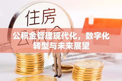 柳江公积金管理现代化，数字化转型与未来展望