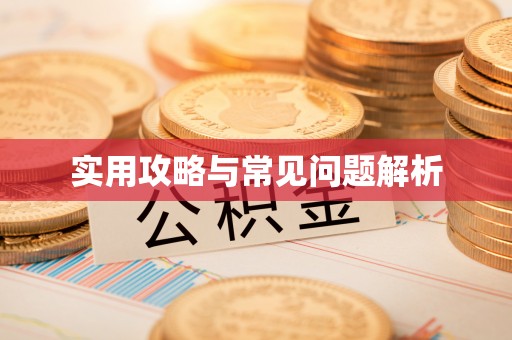 柳江实用攻略与常见问题解析